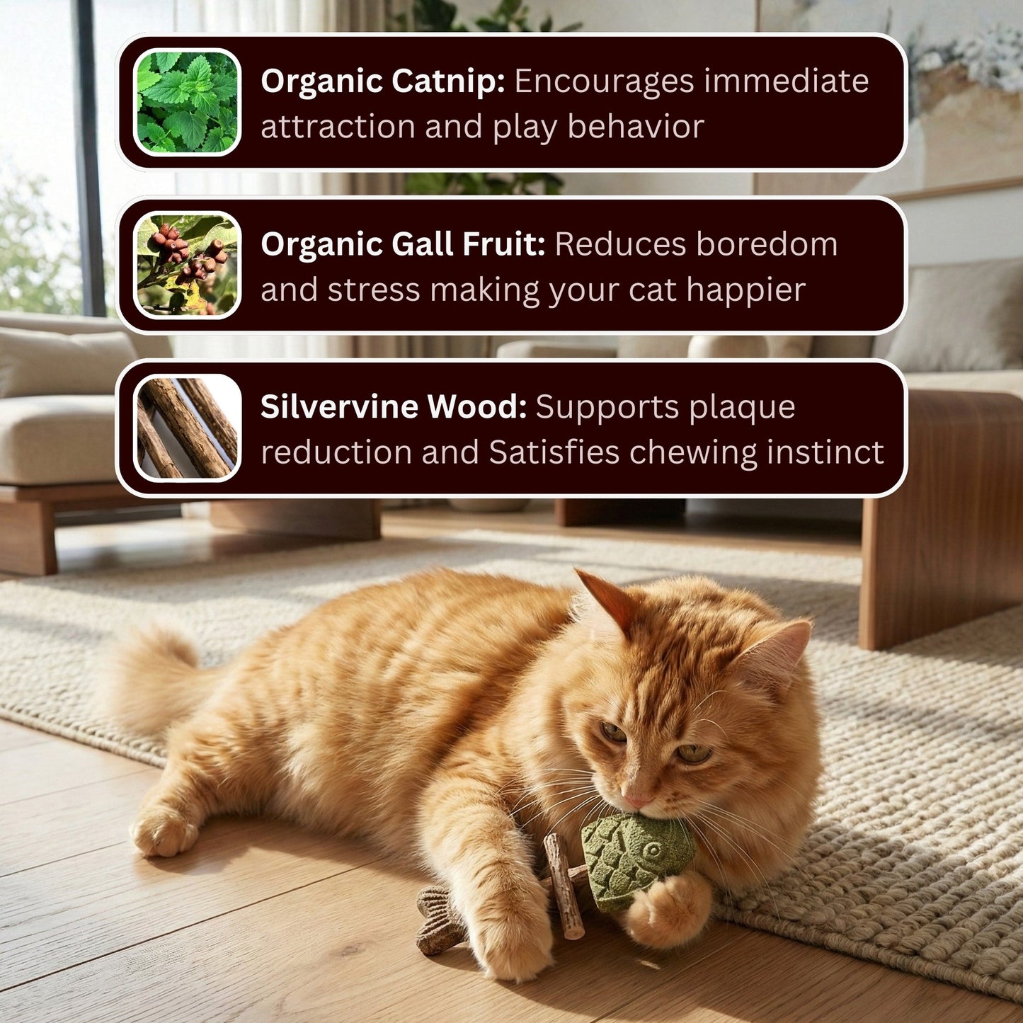🐾 Catnip & Silvervine Chew — Natural Playtime for Bored Indoor Cats