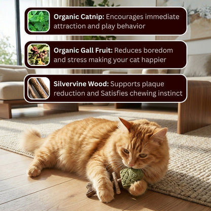 🐾 Catnip & Silvervine Chew — Natural Playtime for Bored Indoor Cats